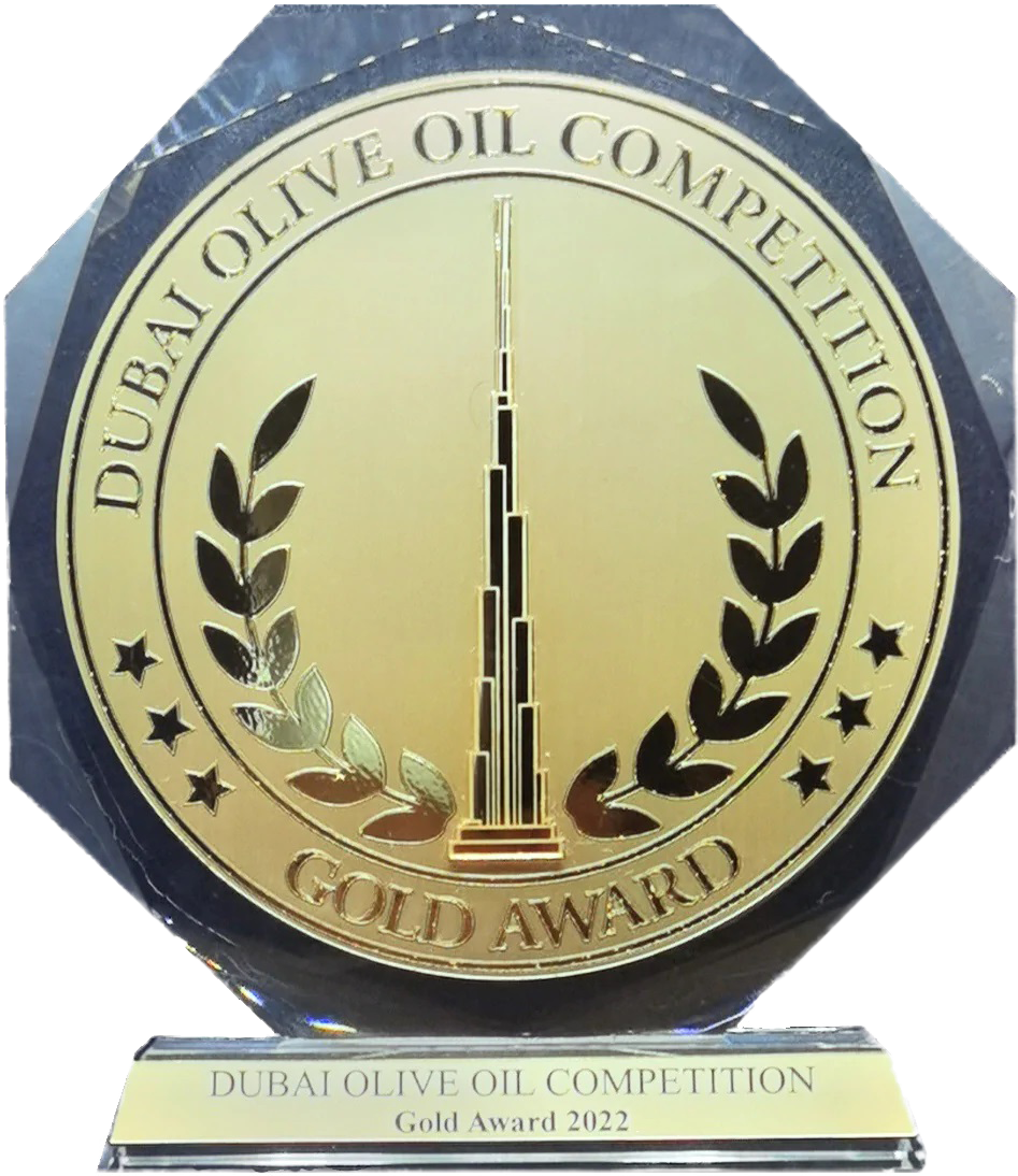Gold Award Trophy DubaiOOC