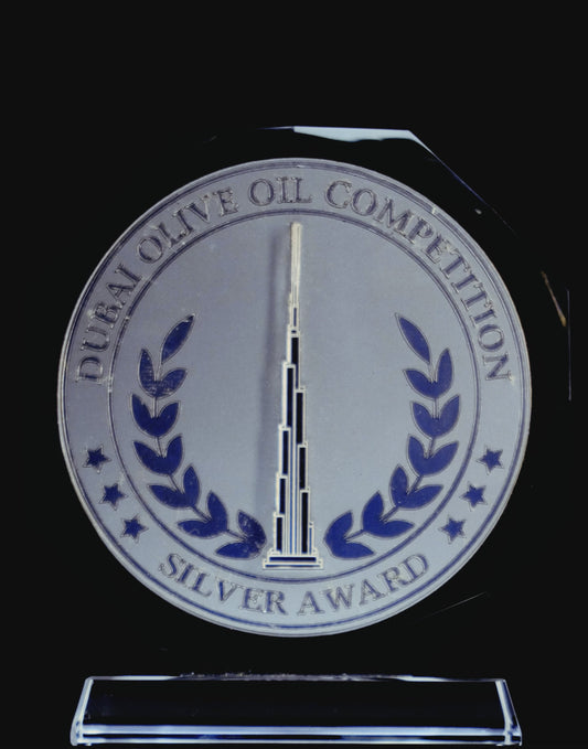 Silver Award Trophy DubaiOOC