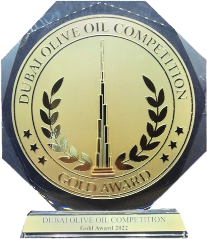 Gold Award Trophy DubaiOOC