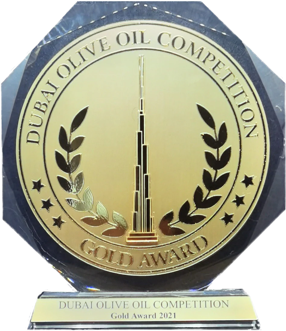 Gold Award Trophy DubaiOOC